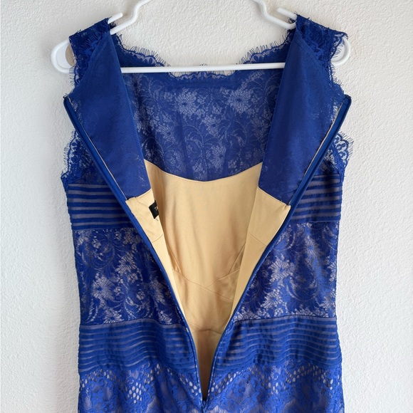 TADASHI SHOJI ‘Chantilly’ Lace Sheath ***DESIGNER*** - Picture 15 of 16